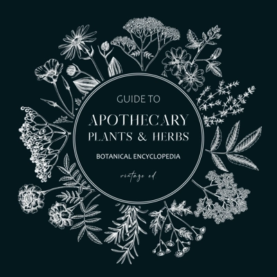 Apothecary plant frame design on chalkboard. Witchcraft background. Herbal remedies, medicinal plant, natural medicine hand-drawn vector illustration. Vinatge card template. NOT AI genereted